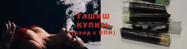 гидра Богородск