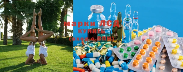 гидра Богородск
