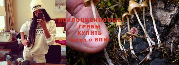 мескалин Богородицк