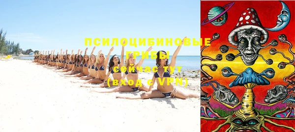 таблы Бородино