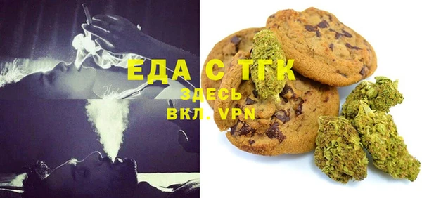 гидра Богородск