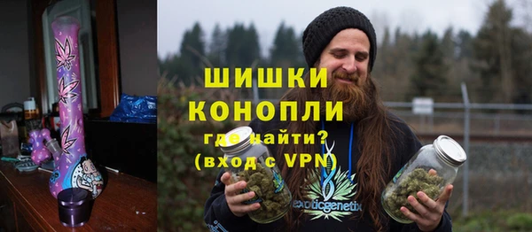 гидра Богородск