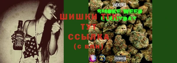 мяу мяу мука Елабуга