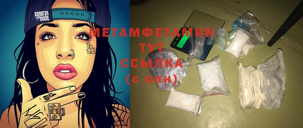 гидра Богородск